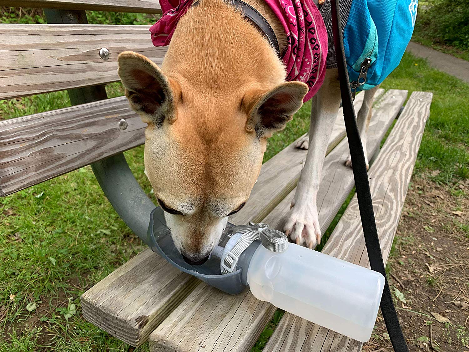 ขวดน้ำ/อ่างน้ำดื่มพกพาสำหรับสุนัขลิซิท
