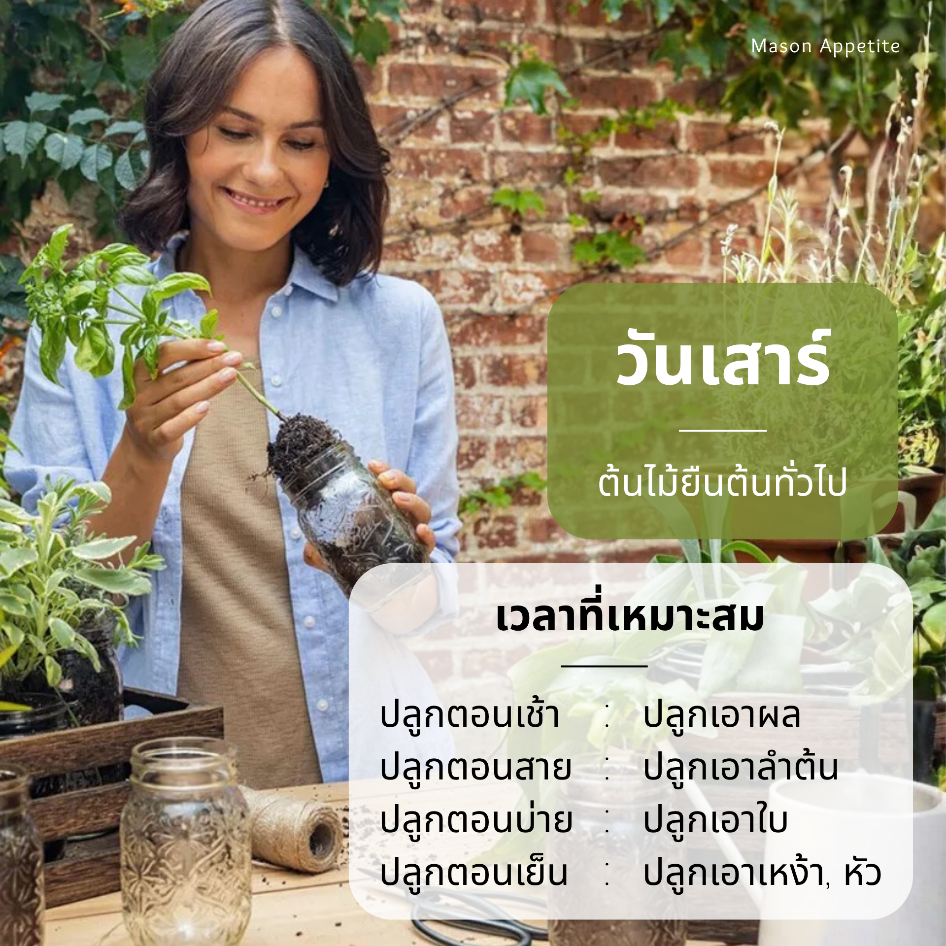 ปลูกต้นไม้วันไหนดี? วันพืชมงคลกับไอเดียปลูกพืชใน Ball Mason Jar เพิ่มพื้นที่สีเขียวให้กับบ้านของคุณ