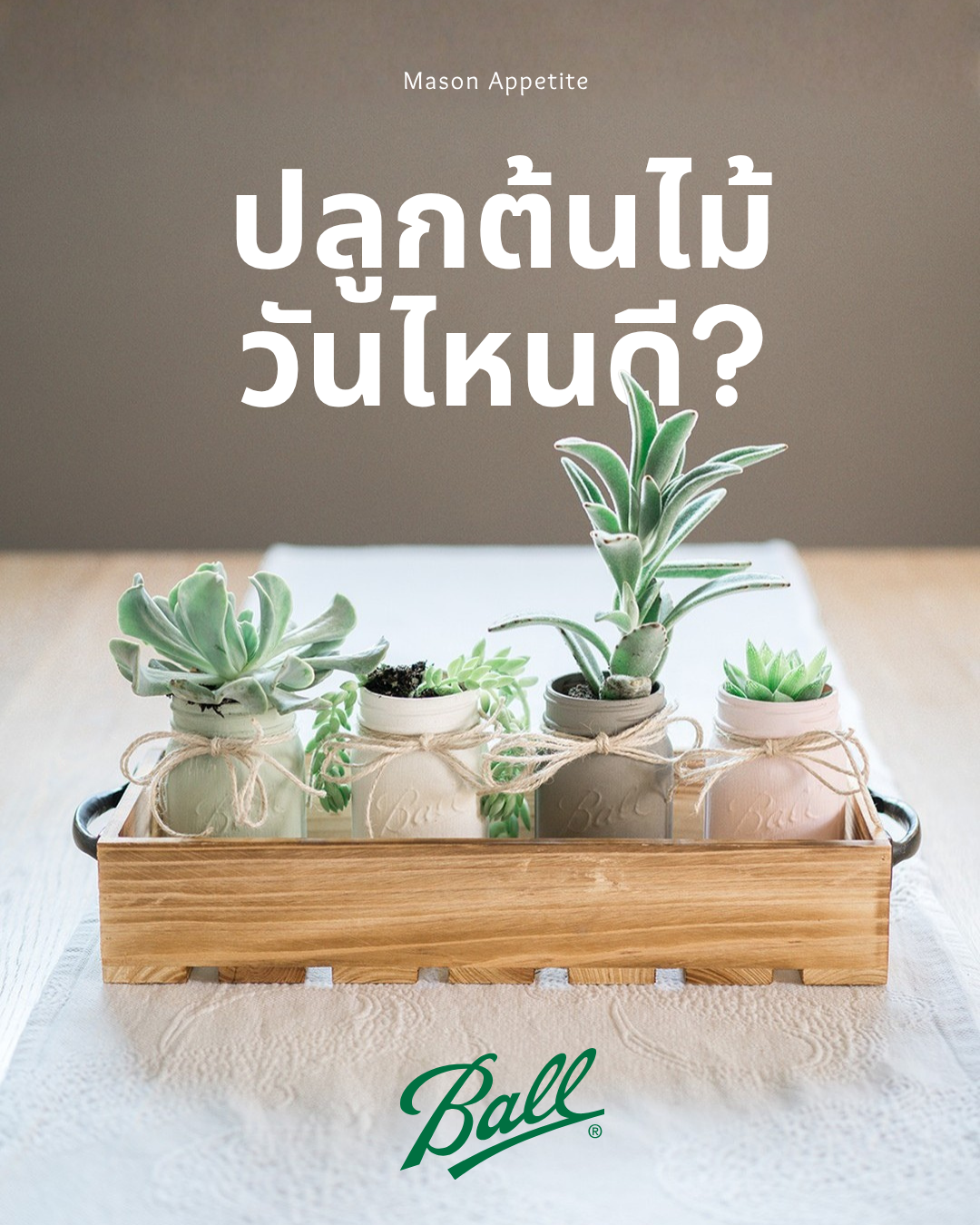 ปลูกต้นไม้วันไหนดี? วันพืชมงคลกับไอเดียปลูกพืชใน Ball Mason Jar เพิ่มพื้นที่สีเขียวให้กับบ้านของคุณ