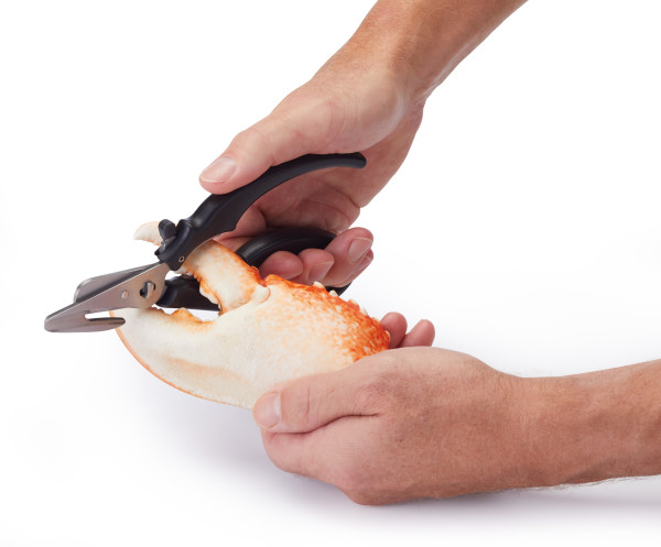 MCSFSHEARS - MC SEAFOOD SHEARS 18.5CM STAINLESS STEEL กรรไกรอาหารทะเลมาสเตอร์คลาส 18.5 ซม. MCSFSHEARS - MC SEAFOOD SHEARS 18.5CM STAINLESS STEEL กรรไกรอาหารทะเลมาสเตอร์คลาส 18.5 ซม.