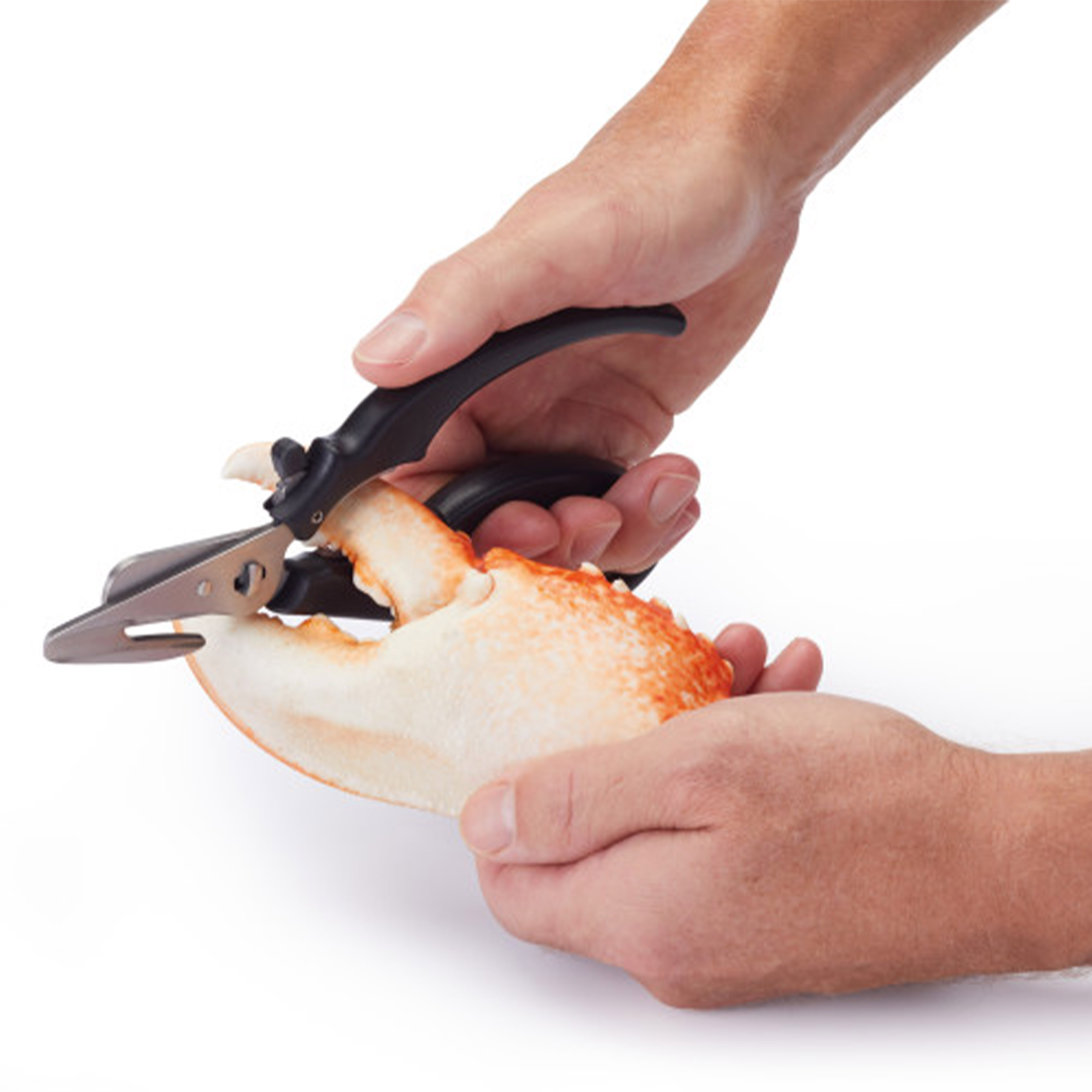 MCSFSHEARS - MC SEAFOOD SHEARS 18.5CM STAINLESS STEEL กรรไกรอาหารทะเลมาสเตอร์คลาส 18.5 ซม. MCSFSHEARS - MC SEAFOOD SHEARS 18.5CM STAINLESS STEEL กรรไกรอาหารทะเลมาสเตอร์คลาส 18.5 ซม.