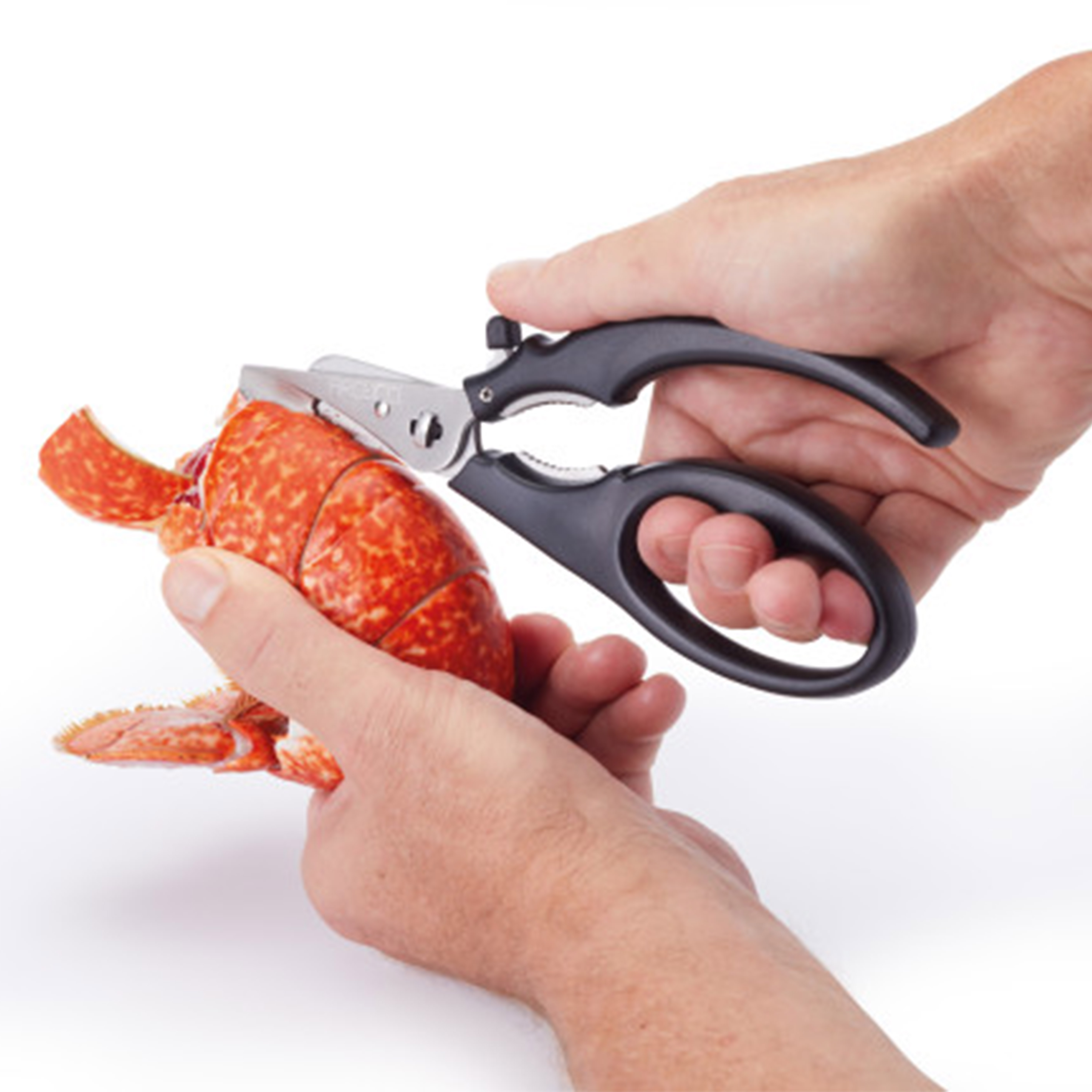 MCSFSHEARS - MC SEAFOOD SHEARS 18.5CM STAINLESS STEEL กรรไกรอาหารทะเลมาสเตอร์คลาส 18.5 ซม. MCSFSHEARS - MC SEAFOOD SHEARS 18.5CM STAINLESS STEEL กรรไกรอาหารทะเลมาสเตอร์คลาส 18.5 ซม.